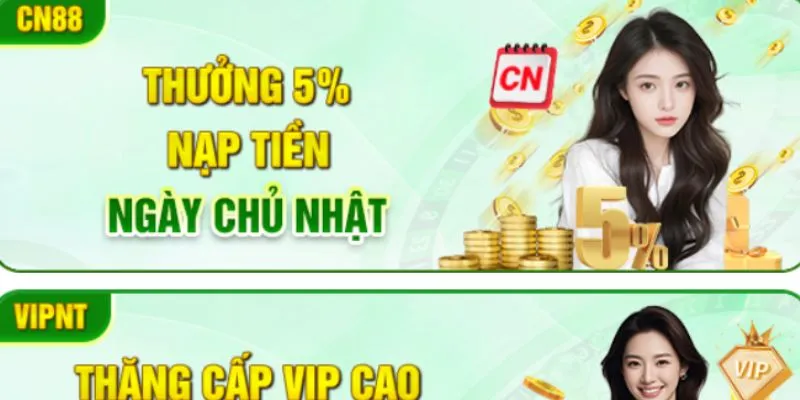 Khuyến mãi QQ88 lên đến 5%