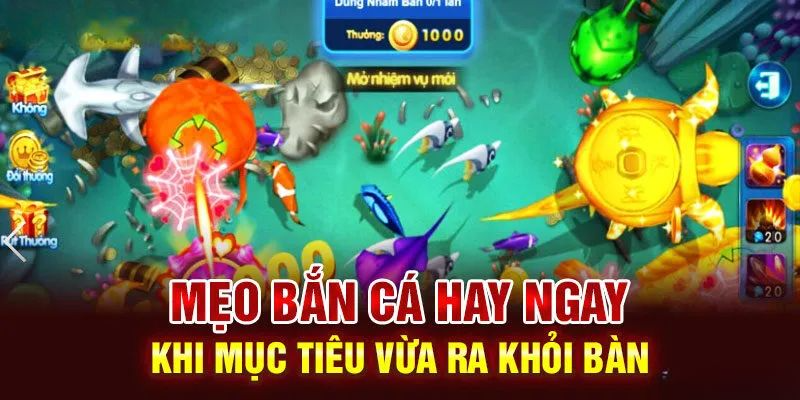 Kinh nghiệm giúp thành viên trải nghiệm săn ngư H5 hiệu quả