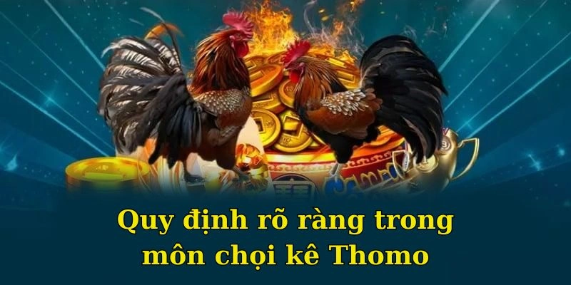 Quy định rõ ràng trong môn chọi kê thomo